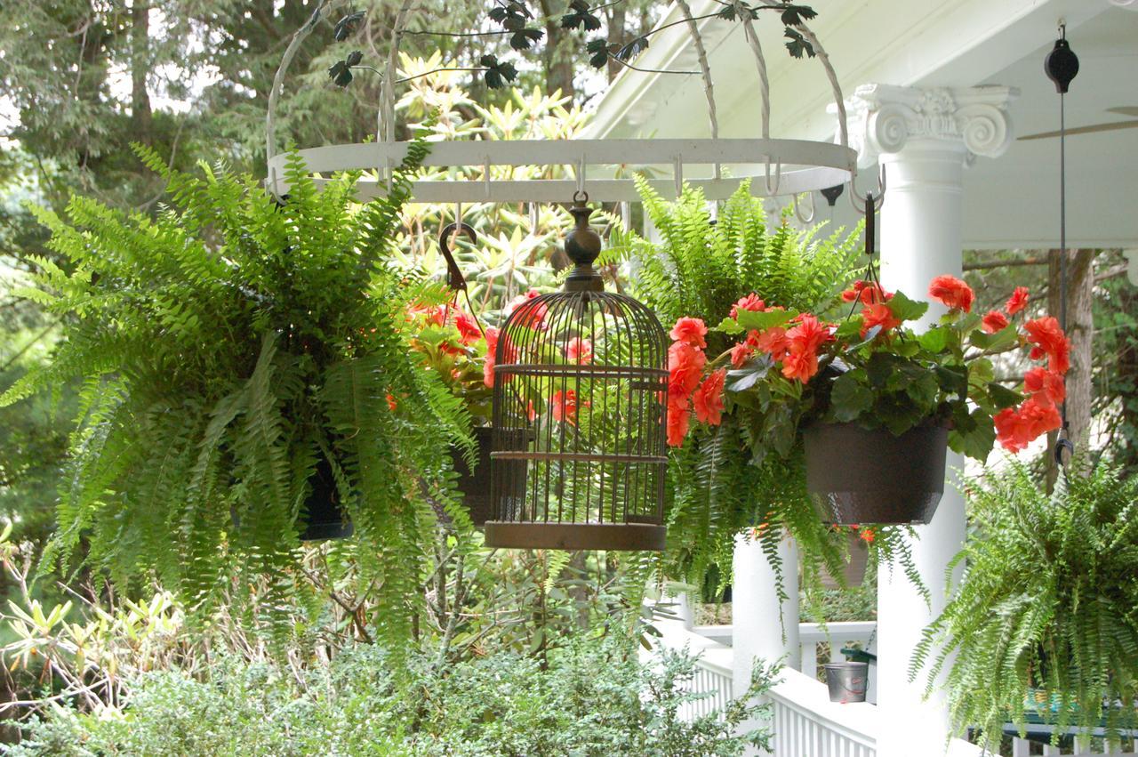Mountain Laurel Inn Damascus Dış mekan fotoğraf